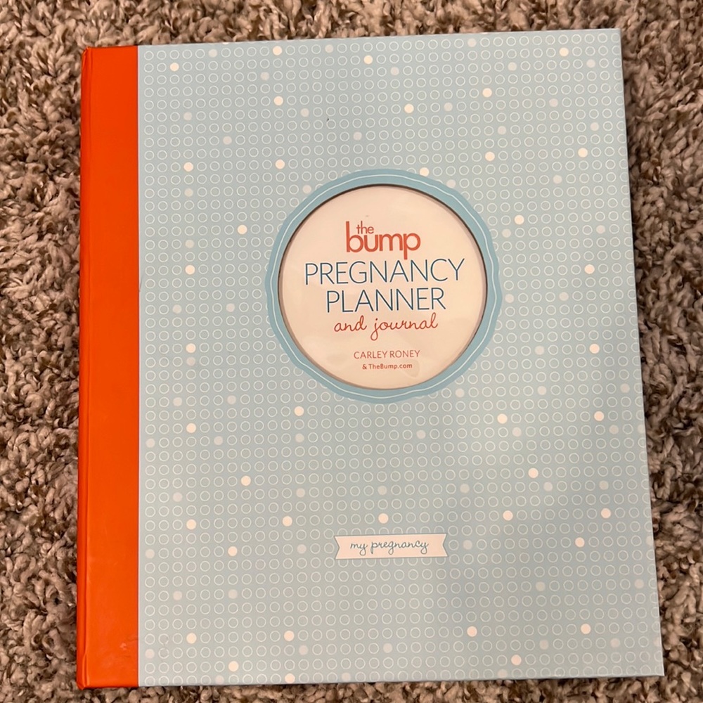 The Bump Pregnancy Book NWT
